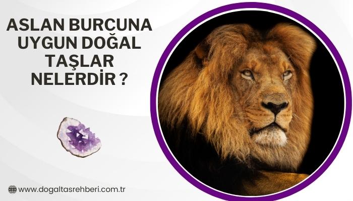 Aslan Burcuna Uygun Doğal Taşlar