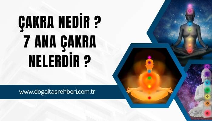 Çakra Nedir ? 7 Ana Çakra Nelerdir ?