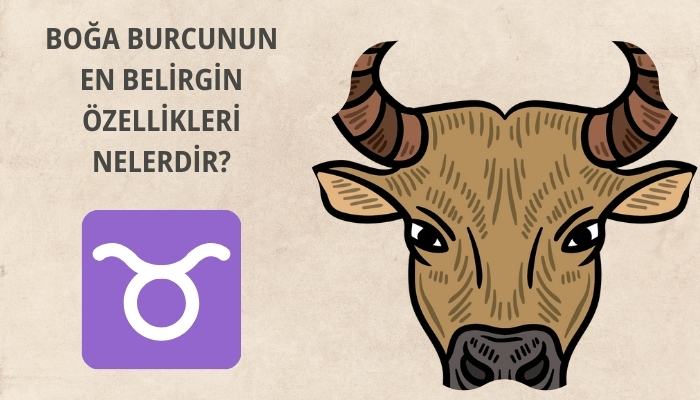 Boğa Burcunun En Belirgin Özellikleri Nelerdir?