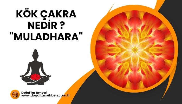 Kök Çakra Nedir?